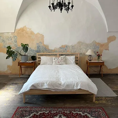 House With Charming Garden Holiday home *