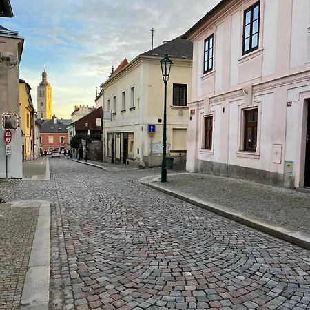 Holiday home House With Charming Garden Kutna Hora