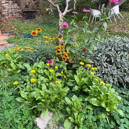 House With Charming Garden Holiday home *
